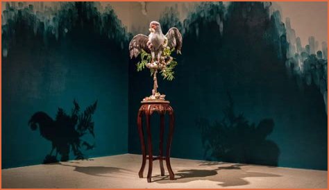 Unraveling The Multifaceted World Of 